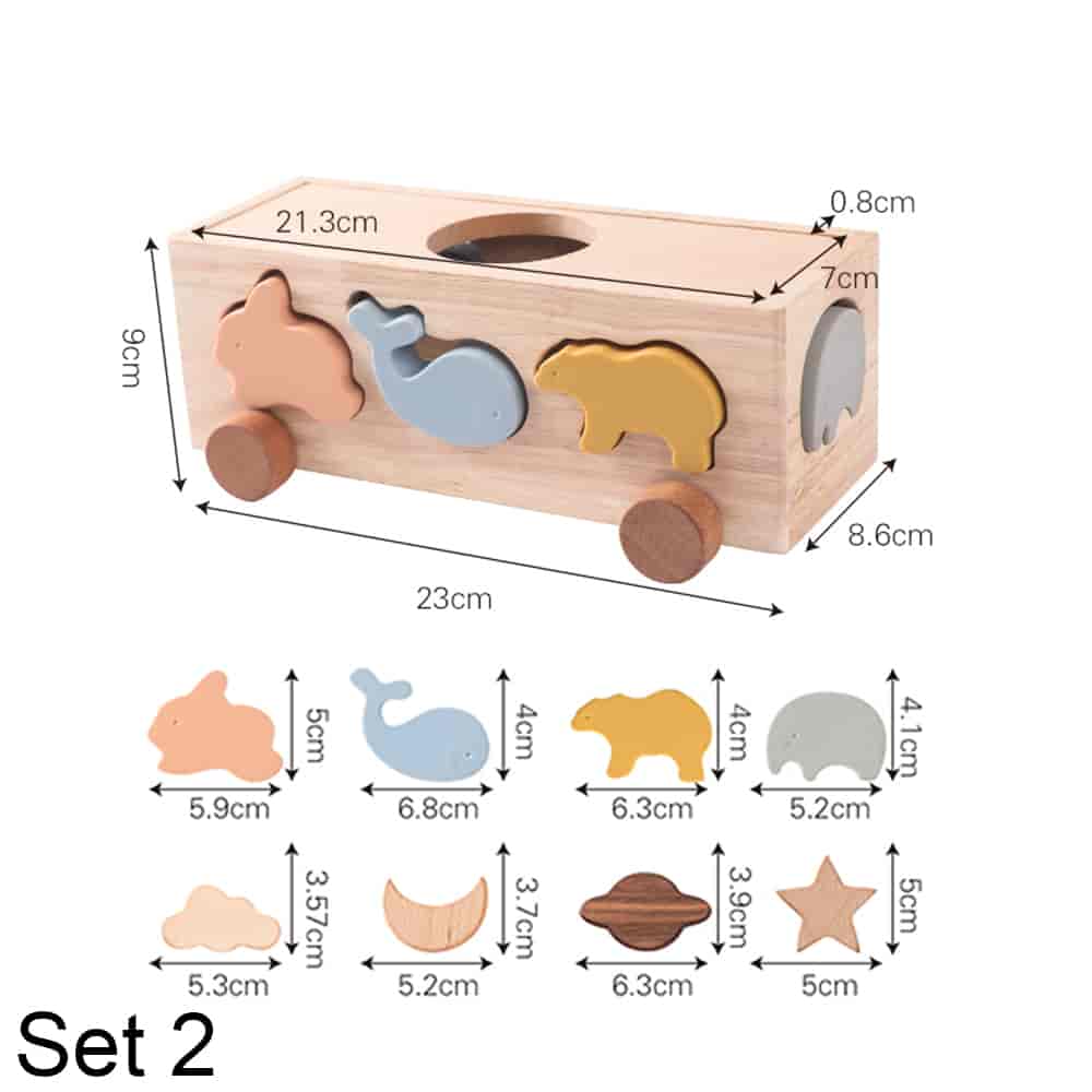 3 In 1 Wooden Shape Sorting Car set 2 size
